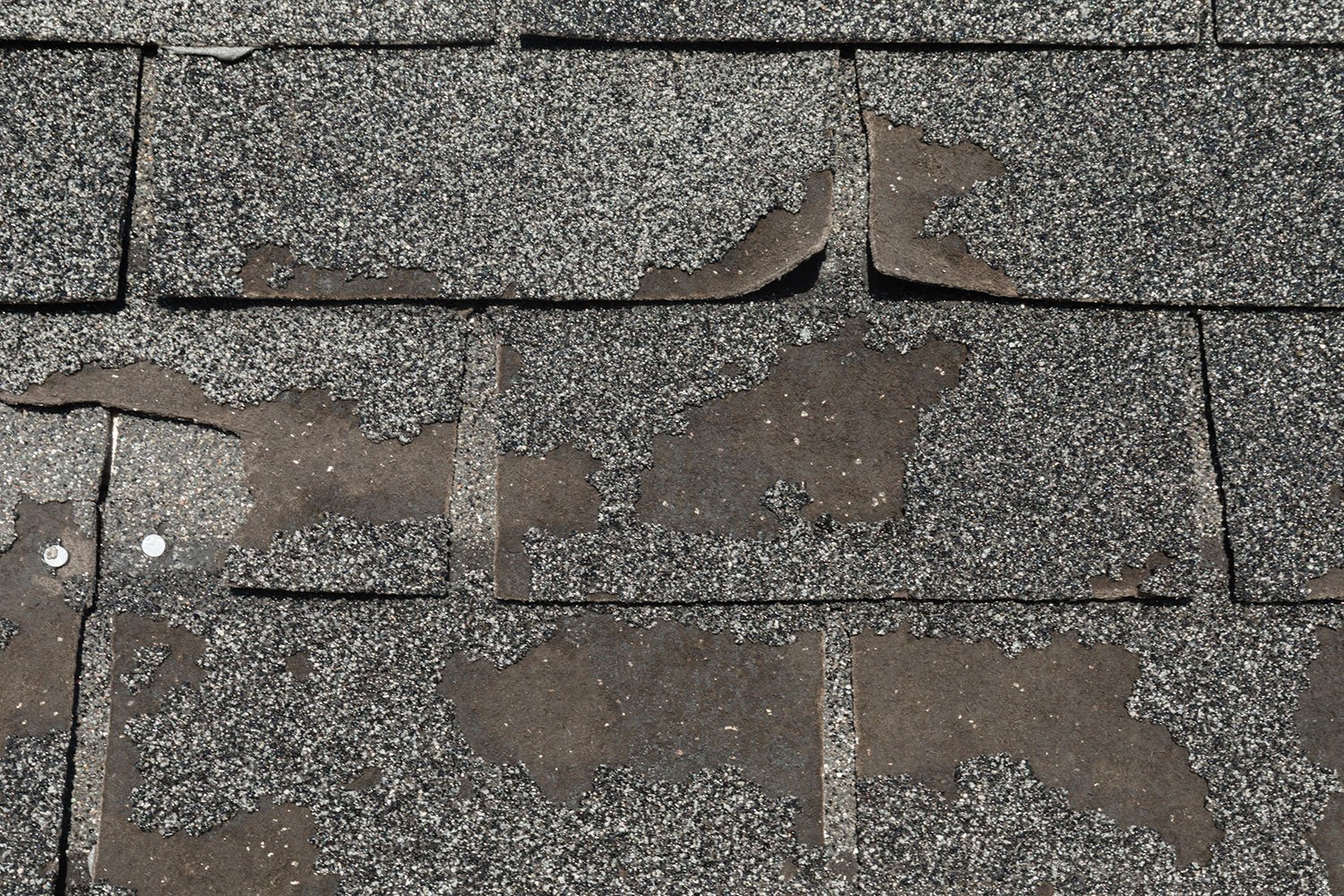 heavy storm damages shingles