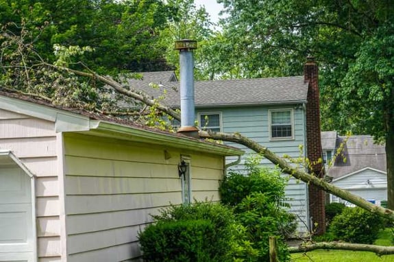homeowners insurance