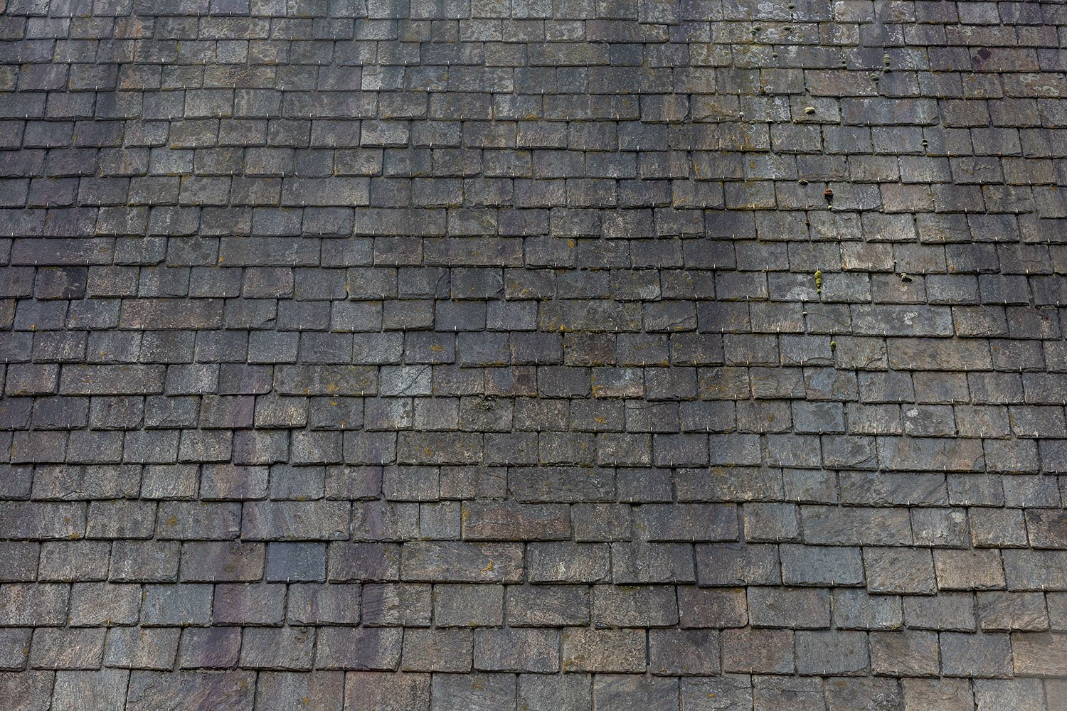 How to Remove Roof Stains The Easy Solution