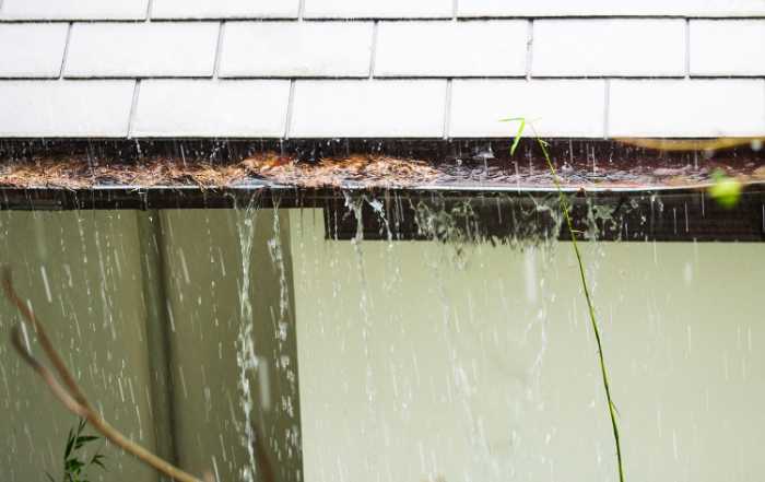 Clogged gutters