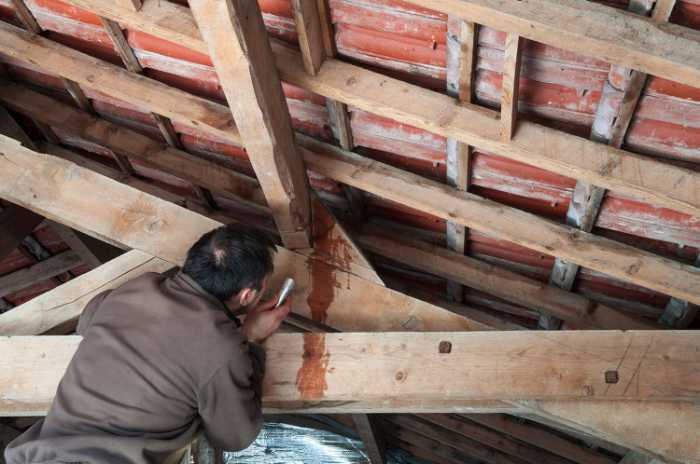 checking attic for roof leaks