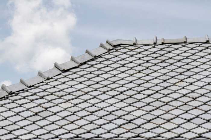 cool roofs with slate shingles